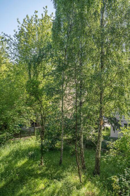 Rozana, Stary Mokotow Apartamento Varsóvia Exterior foto